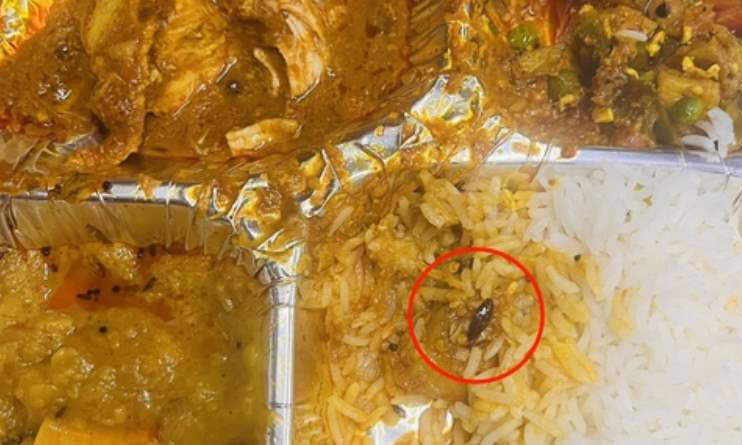 Man finds cockroach in meal served on Vande Bharat Express, IRCTC comes up with an apology tweet