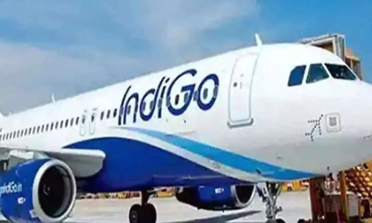 IndiGo refutes report which rated it among world's worst airlines